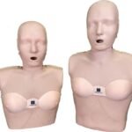 Female Accessory