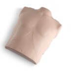Professional Manikin Torso Assembly