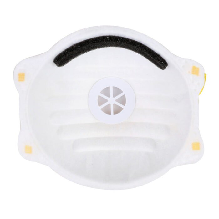 W795210 Back N95 Masks